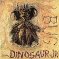 Bug CD by Dinosaur Jr. album artwork