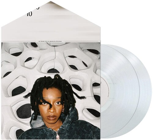 No Thank You 2LP by Little Simz album artwork