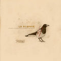 Somewhere at the Bottom of the River... LP by La Dispute album artwork