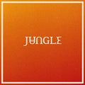 Volcano LP by Jungle album artwork