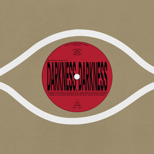 Darkness, Darkness/No Services 12" by Kieran Hebden album artwork
