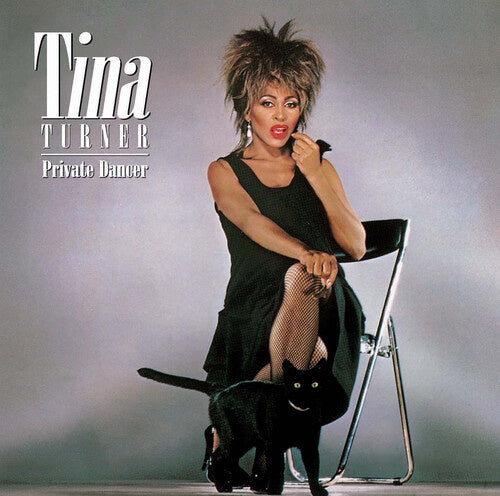 Private Dancer LP by Tina Turner album artwork
