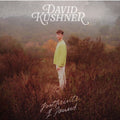 Footprints I Found LP by David Kushner album artwork