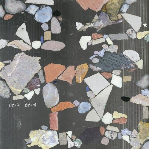 Gongjoong Doduk LP by Mid-Air Thief album artwork