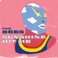 Sunshine Hit Me LP by The Bees album artwork
