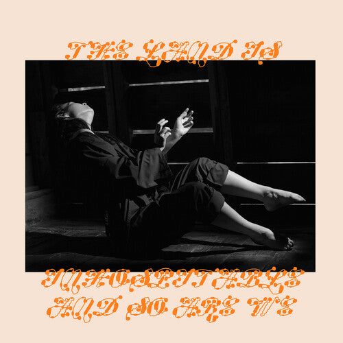 The Land is Inhospitable and So are We CASSETTE by Mitski album artwork