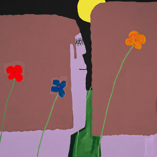 Yard LP by Slow Pulp album artwork