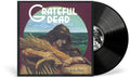 Wake of the Flood LP by Grateful Dead album artwork