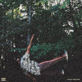 Fish don't climb trees LP by Chester Watson album artwork