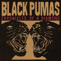 Chronicles Of A Diamond CD by Black Pumas album artwork