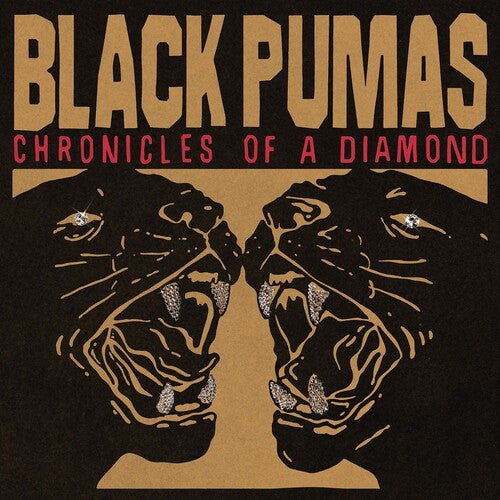 Chronicles Of A Diamond CD by Black Pumas album artwork