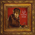 Naked LP by Talking Heads album artwork