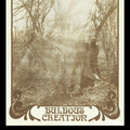 You Won't Remember Anything LP by Bulbous Creation album artwork
