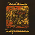Elephantasia LP by Dave Evans album artwork