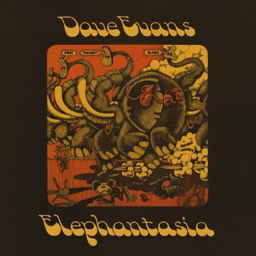 Elephantasia LP by Dave Evans album artwork