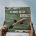 The River Jones LP by Cotton Jones album artwork