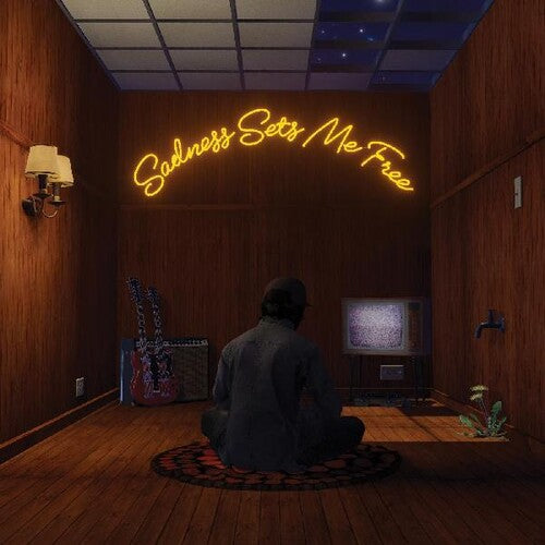 Sadness Sets me Free LP by Gruff Rhys album artwork