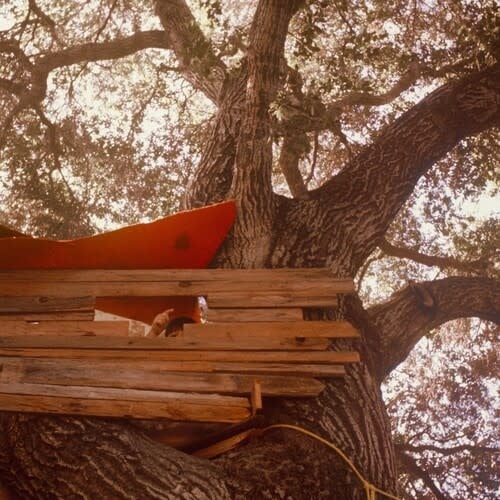 Waiting to Spill LP by The Backseat Lovers album artwork