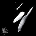 Killer Whale Atmospheres 2LP by Rainforest Spiritual Enslavement album artwork
