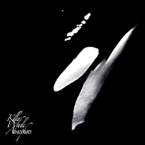 Killer Whale Atmospheres 2LP by Rainforest Spiritual Enslavement album artwork