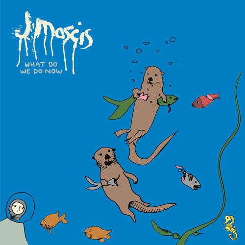What Do We Do Now LP by J Mascis album artwork