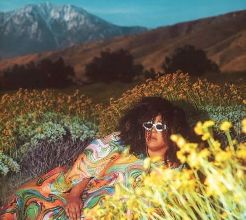 What Now LP by Brittany Howard album artwork