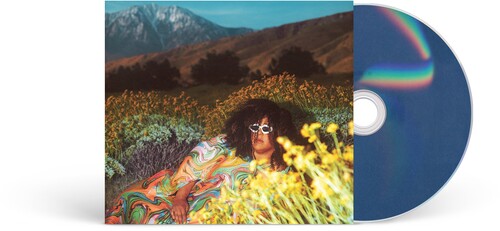 What Now CD by Brittany Howard album artwork