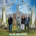 Magpie Heights LP by Blue Orchids album artwork