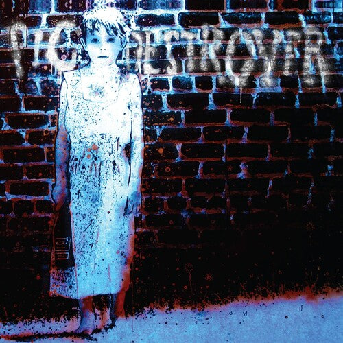 Book Burner LP by Pig Destroyer album artwork