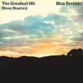 The Greatest Hits (Money Mountain) 2LP by Blue Orchids album artwork