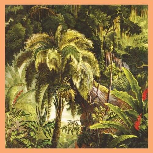La Foret LP by Xiu Xiu album artwork