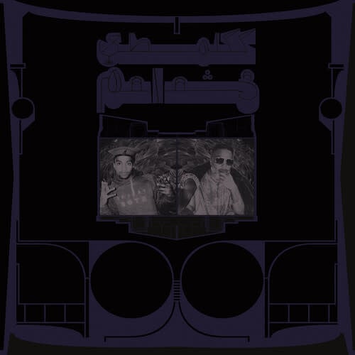 Exotic Birds of Prey CD by Shabazz Palaces album artwork