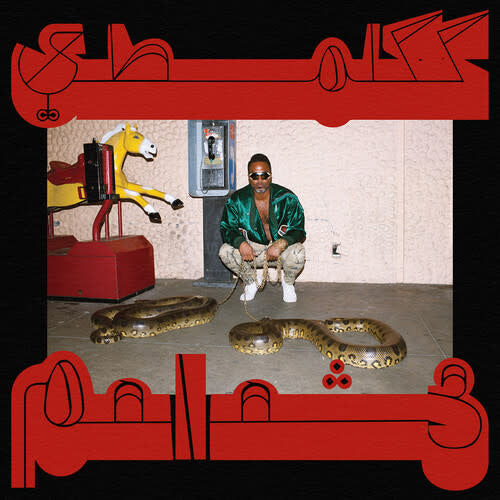 Robed In Rareness LP by Shabazz Palaces album artwork