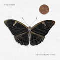 That Golden Time (black) LP by Villagers album artwork
