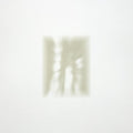 Forgiveness is Yours (clear) LP by Fat White Family album artwork