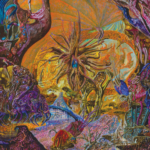 Chytridiomycosis Relinquished LP by Slimelord album artwork