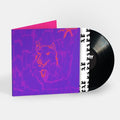 Poetry LP by Dehd album artwork