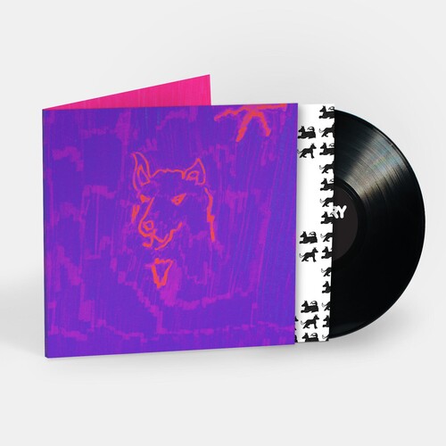 Poetry LP by Dehd album artwork