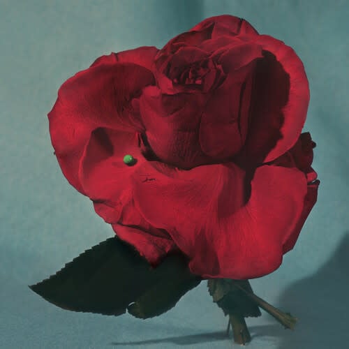 Up On Gravity Hill LP by Metz album artwork