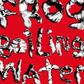 Frog In boiling Water CD by DIIV album artwork