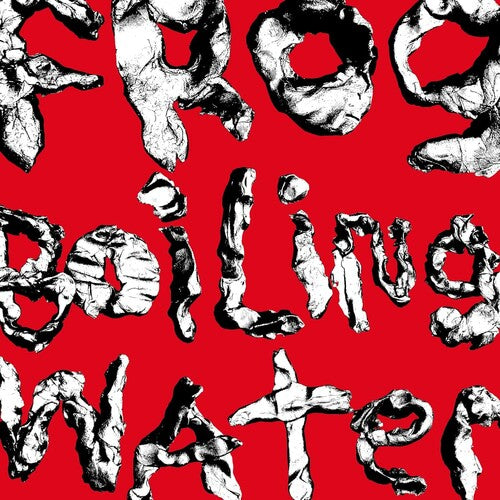 Frog In boiling Water CD by DIIV album artwork