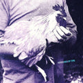 Catching Chickens EP by Nourished by Time album artwork