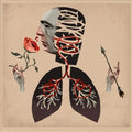 Vows LP by Hot Water Music album artwork