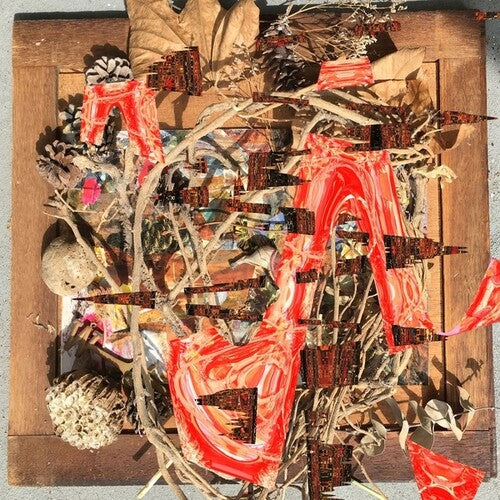 Tsubute Mosaic LP by Merzbow album artwork