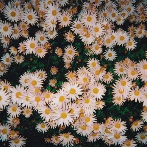 Self-Titled by Bad Bad Hats album artwork