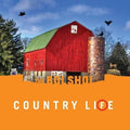 Country Life 2LP by The Bolshoi album artwork
