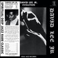 Revelation LP by David Lee Jr. album artwork