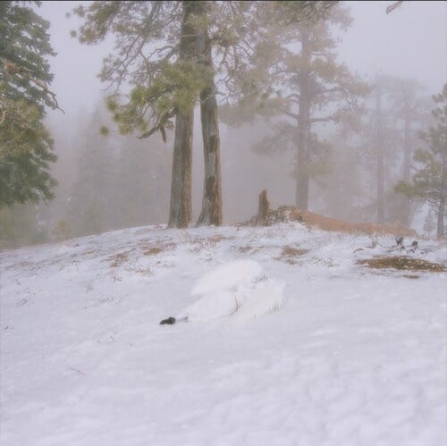 Pandora CD by Wisp album artwork