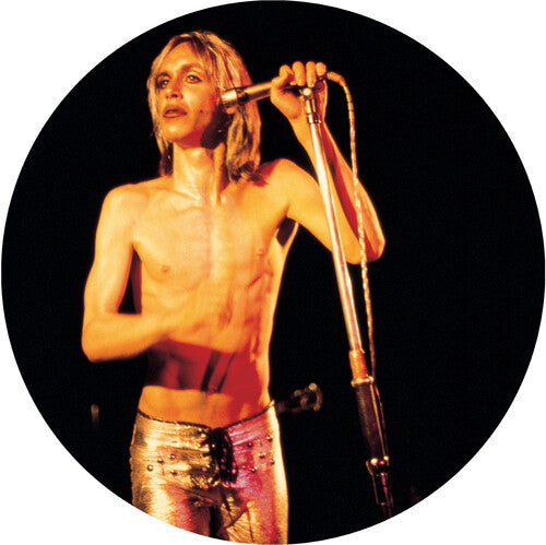 More Power LP by Iggy & the Stooges album artwork