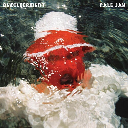 Bewilderment LP by Pale Jay album artwork